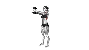 Read more about the article Dumbbell Front Raise