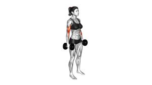 Read more about the article Dumbbell Hammer Curl