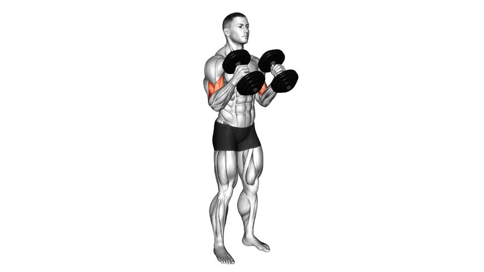 dumbbell-hammer-curl-maniacmuscle