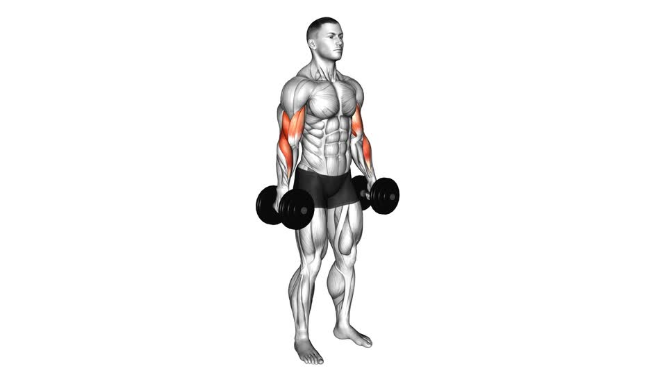Dumbbell Hammer Curl - ManiacMuscle