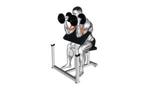 Read more about the article Dumbbell Hammer Preacher Curl