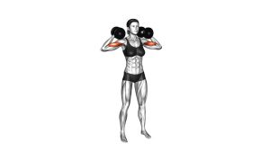 Read more about the article Dumbbell High Curl