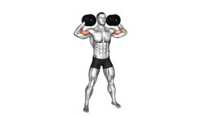 Read more about the article Dumbbell High Curl