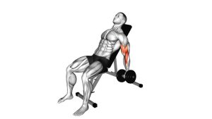 Read more about the article Dumbbell Incline Alternate Biceps Curl