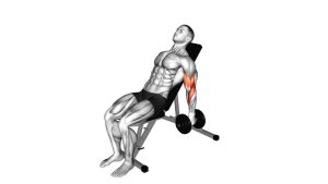 Read more about the article Dumbbell Incline Alternate Hammer Curl