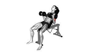 Read more about the article Dumbbell Incline Biceps Curl
