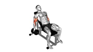 Read more about the article Dumbbell Incline Curl