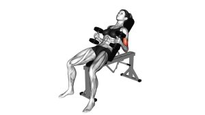 Read more about the article Dumbbell Incline Hammer Curl