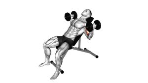 Read more about the article Dumbbell Incline Inner Biceps Curl