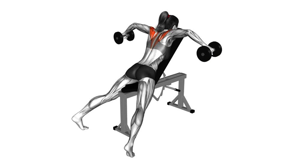 Dumbbell Incline Rear Fly - ManiacMuscle