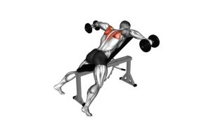 Read more about the article Dumbbell Incline Rear Lateral Raise