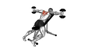 Read more about the article Dumbbell Incline T Raise