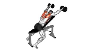 Read more about the article Dumbbell Incline Y Raise