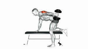Read more about the article Dumbbell Kickback