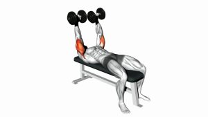 Read more about the article Dumbbell Lying Extension (Across Face)