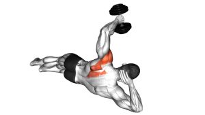 Read more about the article Dumbbell Lying on Floor Rear Delt Raise