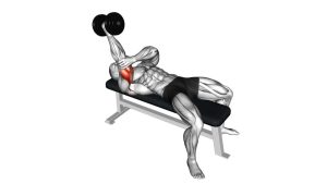 Read more about the article Dumbbell Lying One-Arm Supinated Triceps Extension