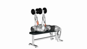 Read more about the article Dumbbell Lying Triceps Extension