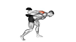 Read more about the article Dumbbell One-Arm Kickback