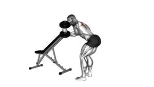 Read more about the article Dumbbell One-Arm Reverse Fly (With Support)
