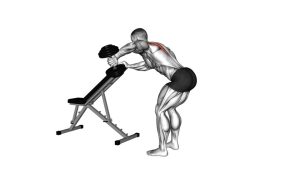 Read more about the article Dumbbell One-Arm Reverse Fly (with Support)