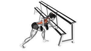 Read more about the article Dumbbell One-Arm Row (Rack Support)