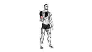 Read more about the article Dumbbell One-Arm Standing Curl