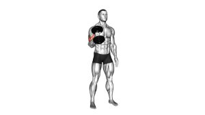 Read more about the article Dumbbell One-Arm Standing Hammer Curl