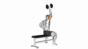 Read more about the article Dumbbell One-Arm Triceps Extension (On Bench)