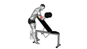 Read more about the article Dumbbell One-Arm Zottman Preacher Curl