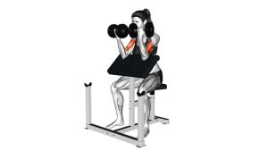 Read more about the article Dumbbell Preacher Curl