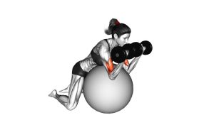 Read more about the article Dumbbell Preacher Curl over Exercise Ball