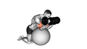 Read more about the article Dumbbell Preacher Curl Over Exercise Ball