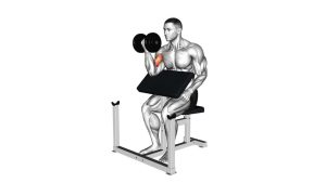 Read more about the article Dumbbell Preacher Curl
