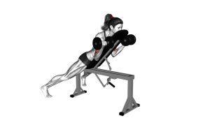 Read more about the article Dumbbell Prone Incline Curl