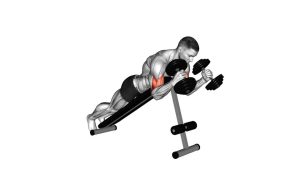Read more about the article Dumbbell Prone Incline Hammer Curl