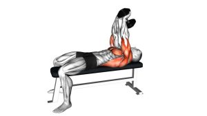 Read more about the article Dumbbell Pullover