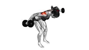 Read more about the article Dumbbell Rear Delt Fly