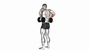 Read more about the article Dumbbell Rear Delt Raise