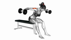 Read more about the article Dumbbell Rear Fly