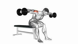Read more about the article Dumbbell Rear Fly