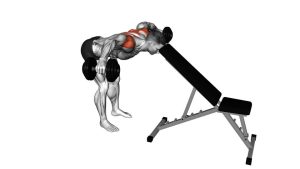Read more about the article Dumbbell Rear Lateral Raise (Head Supported)