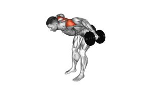 Read more about the article Dumbbell Rear Lateral Raise