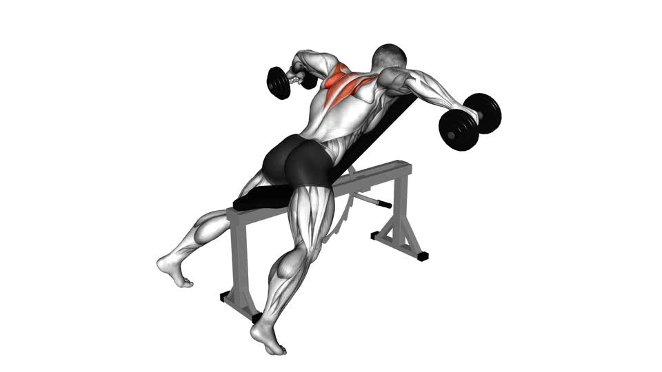 Dumbbell Reverse Fly - ManiacMuscle