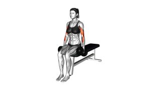 Read more about the article Seated Alternating Dumbbell Biceps Curl