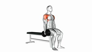 Read more about the article Dumbbell Seated Alternate Front Raise
