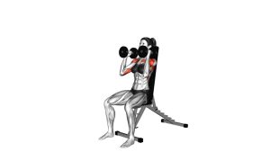Read more about the article Dumbbell Seated Alternate Press