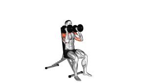 Read more about the article Dumbbell Seated Alternate Press