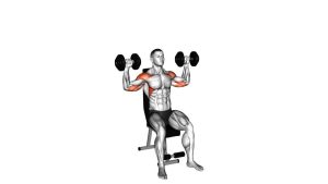 Read more about the article Dumbbell Seated Alternate Shoulder Press