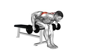Read more about the article Dumbbell Seated Bent-Over Rear Delt Row